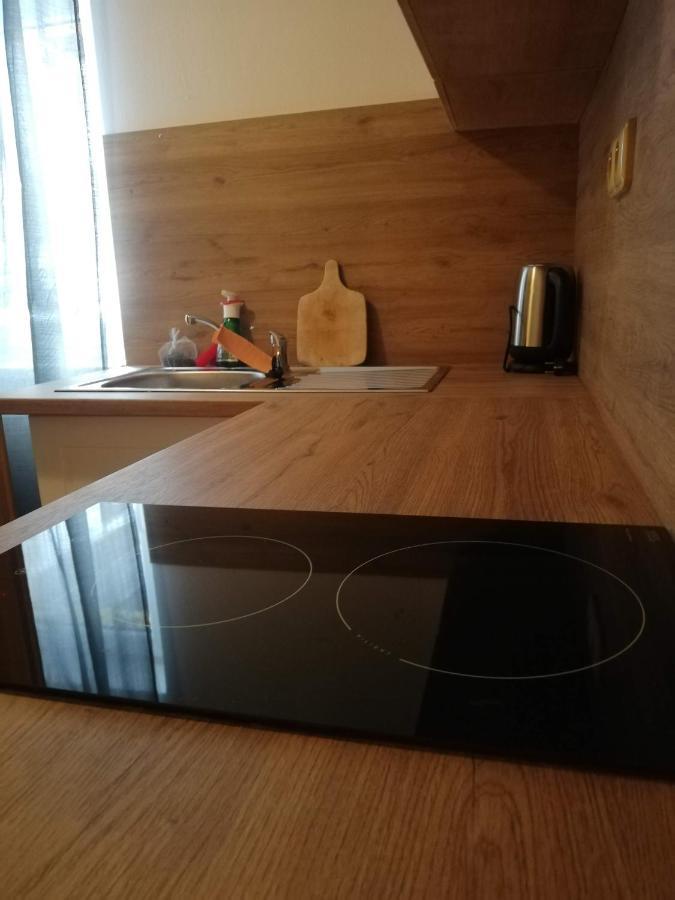 Penzion Pod Svahem Zelezna Ruda Luaran gambar